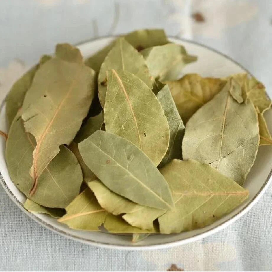 15G Bay Leaf ( Nobi…