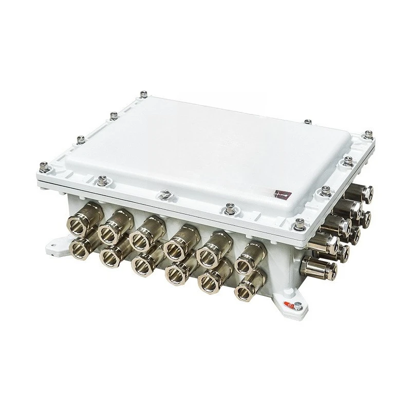 Explosion-proof junction box Distribution box Lighting power control cabinet Button switch box Maintenance terminal