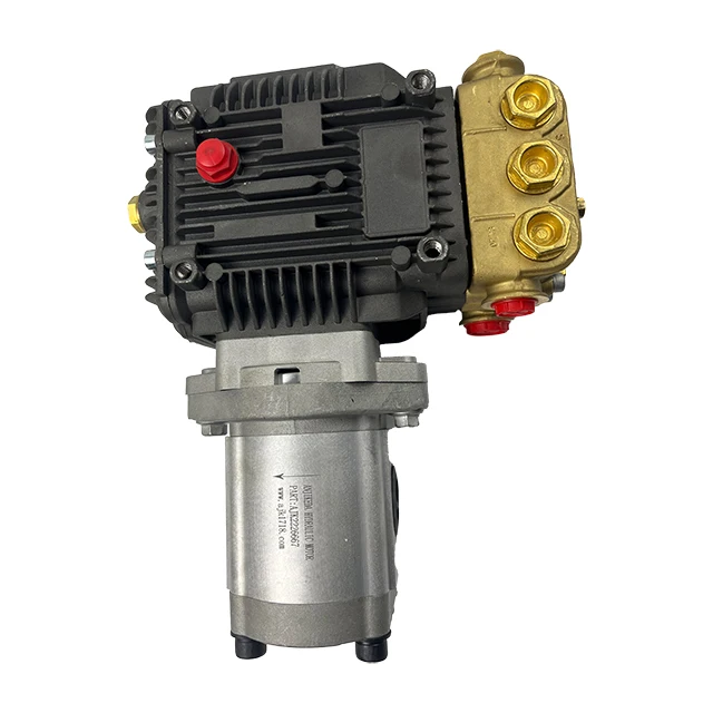 

PN.2117460 High-Pressure Cleaning Pump For W200