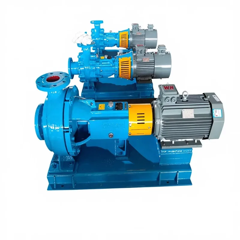 

High Efficiency Low Pressure Allslorm WS Stainless Steel 304 7.5kw DC Stepper Motor Centrifugal Pump for Pulp Paper OEM