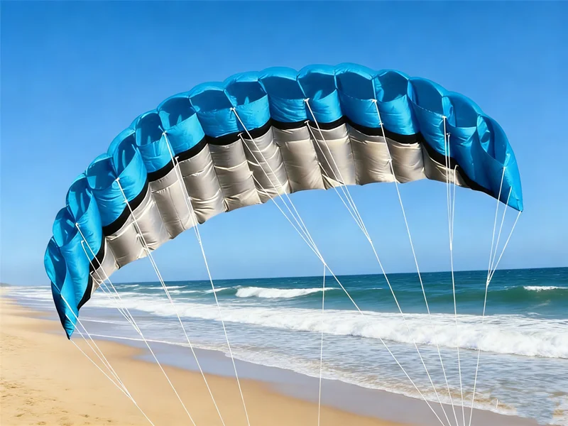 Adults kites 250cm dual line stunt power kites with wristband handle kite surf board double-line umbrella paraglider inflatable