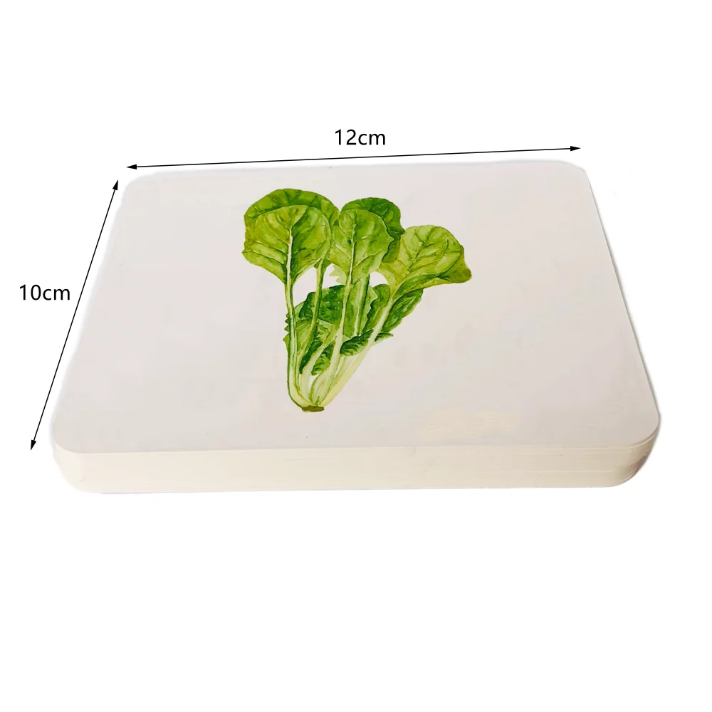 بطاقات الإدراك للخضروات، مواد لغة مونتيسوري، ألعاب تعلم الأطفال الصغار، لعبة تعليمية في مرحلة الطفولة المبكرة