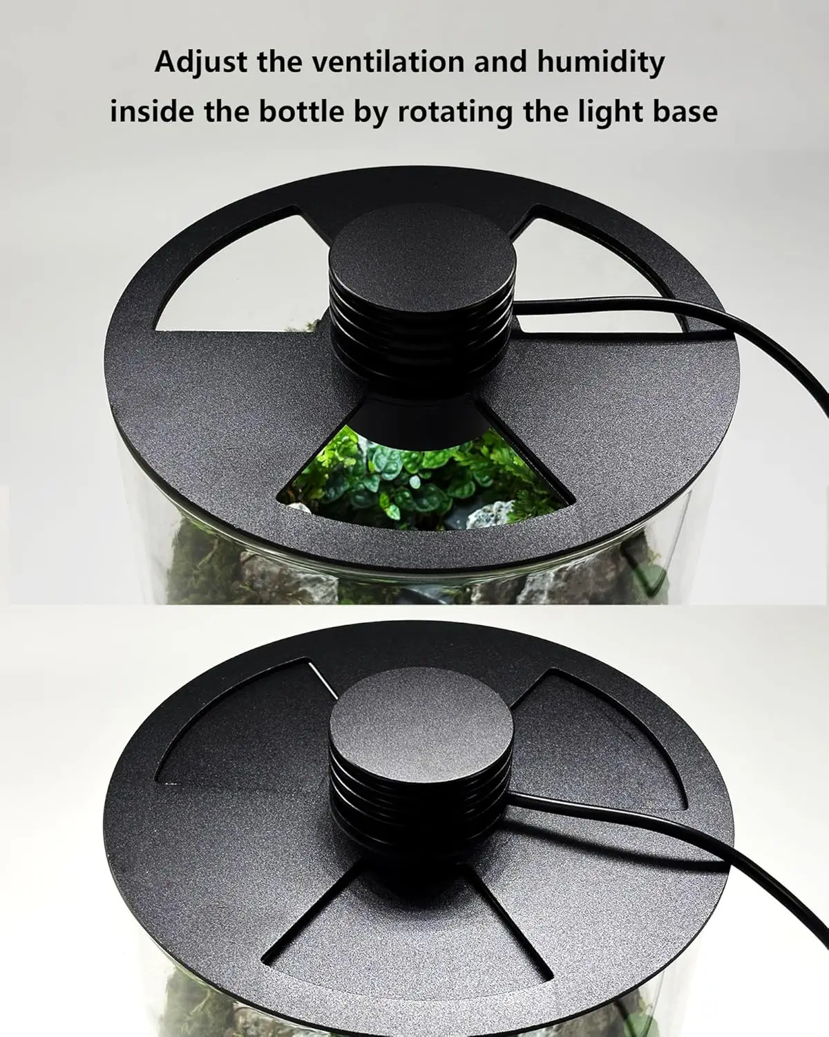 Indoor Glass Terrarium with Grow Light, 9.8" H × 5.9" D, for Succulents, Moss, Mini Gardens, Betta Fish Tanks, Mushroom Cultivation - Plant Growth Lamp for Home Office Decor, Gift for Plant Lovers - view 4