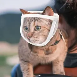 Tong gato anti mordida focos respirável transparente capacete de gato máscara de gatinho ajustável para aparar unhas aliciamento