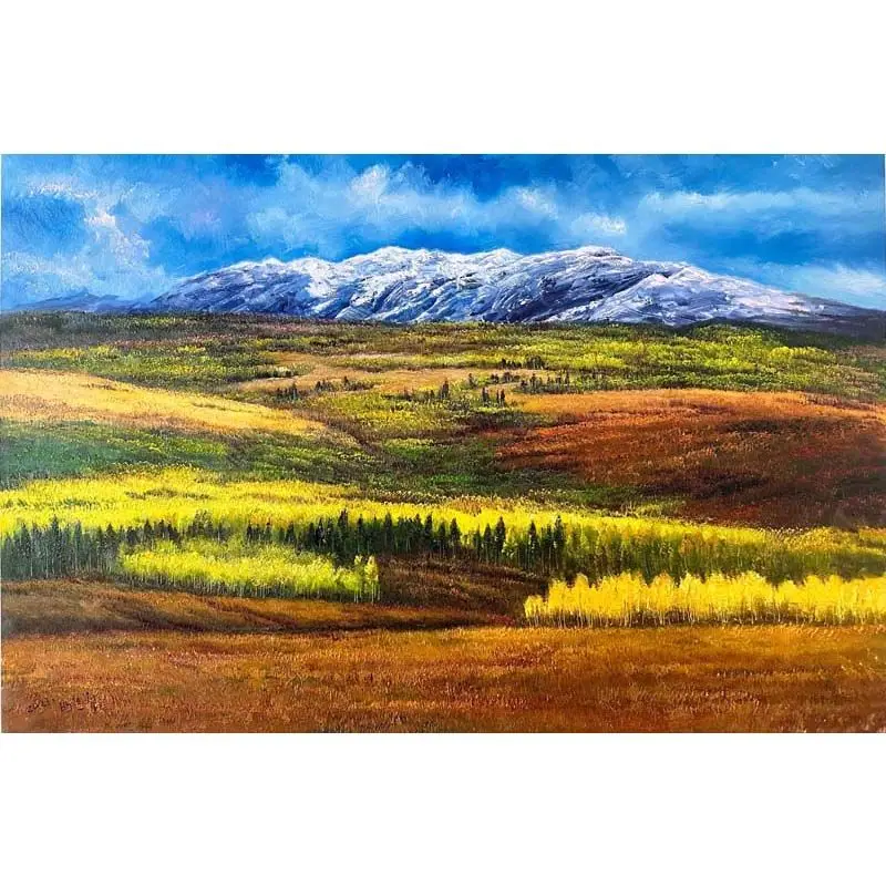 Oil painting boutique living room study decoration collection bedroom entrance decoration painting
