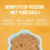 Petfull Cat Canned for Cat and Dog Pet Food 170gx24Cans Tuna Beef Salmon Chicken Flaver Cat Food Cans 2