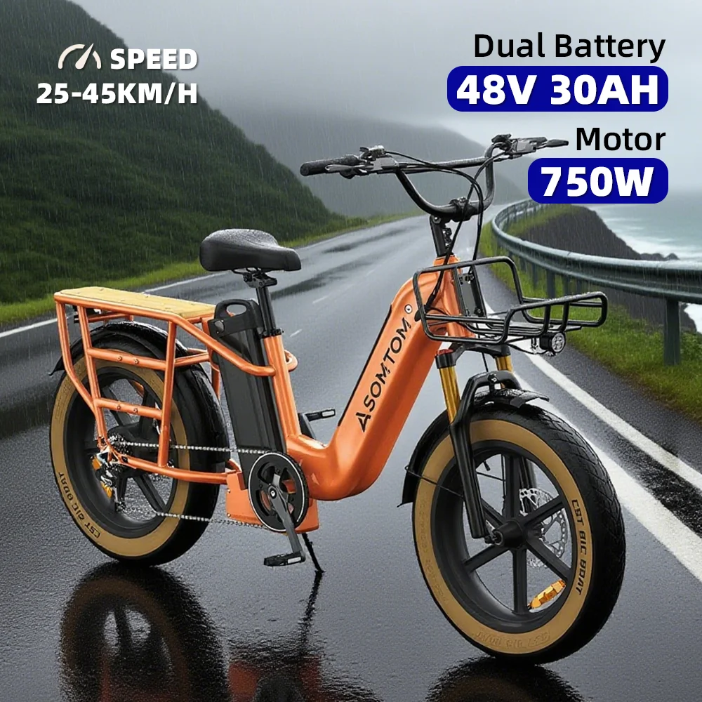 

One piece dropshipping 20 inch electric bicycle 750W48V30AH dual battery heavy-duty king electric snow bike from the United Stat