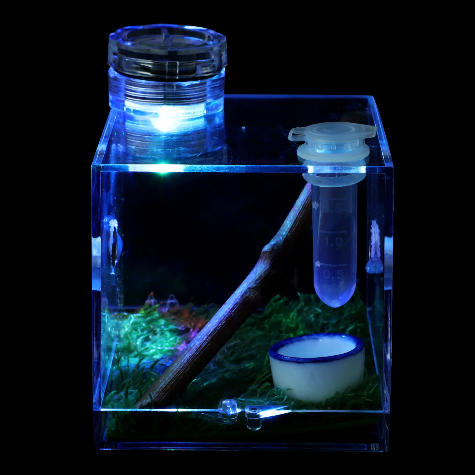 

2pcs Jumping Spider Breeding Box Cage Mini Lamp Clear Acrylic Insect House Habitat Enclosure Feeding Container Non Escape Pet