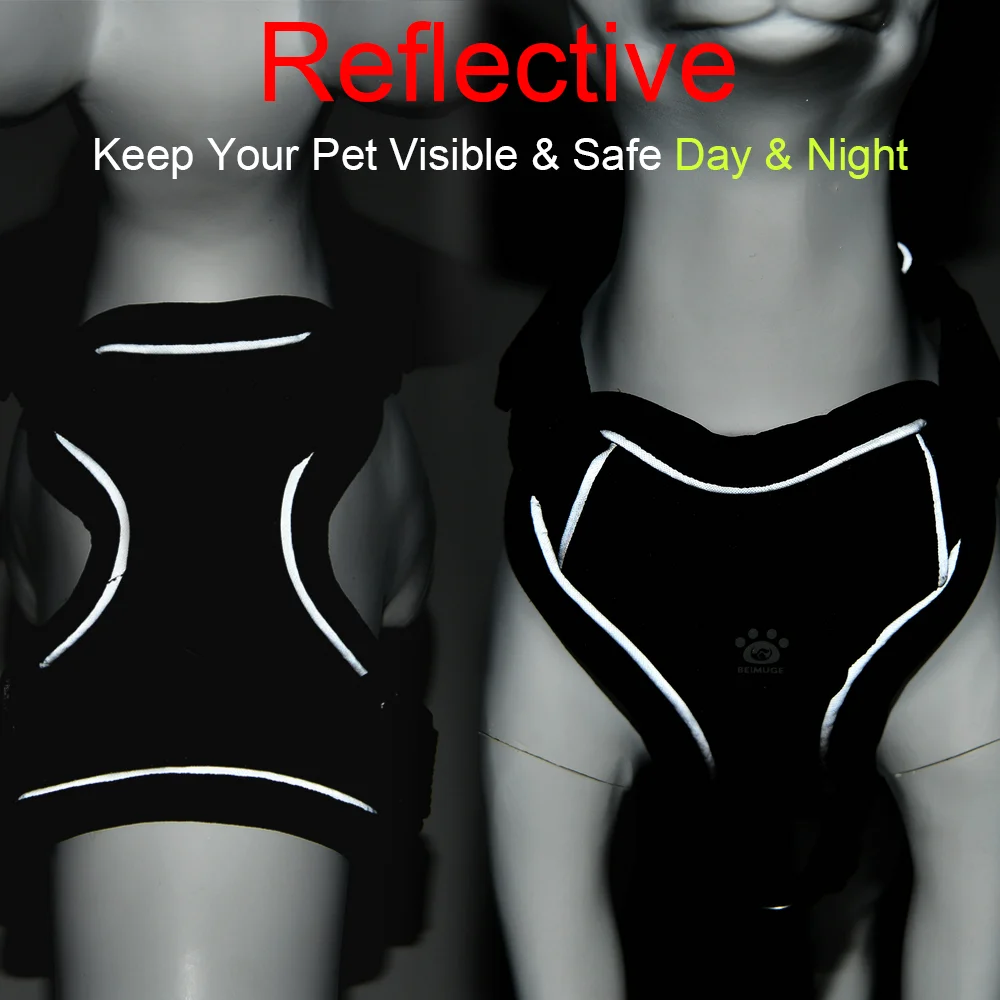Thumbnail 4 - #13 Best Puppy Harnesses to Buy In 2026