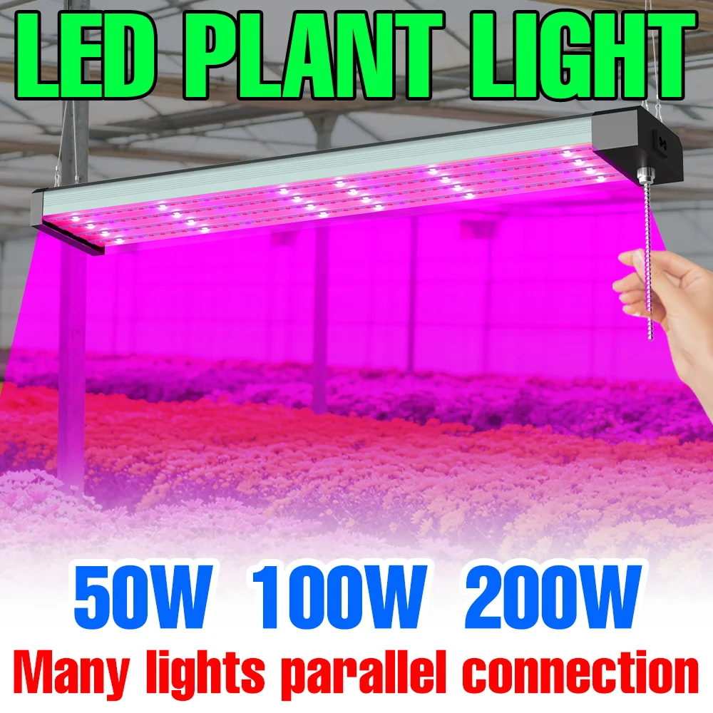 

200W LED Grow Light Full Spectrum Quantum Board Hydroponics Plant Cultivation Lamp Indoor Flower Tomato Vegetables Fill Lighting