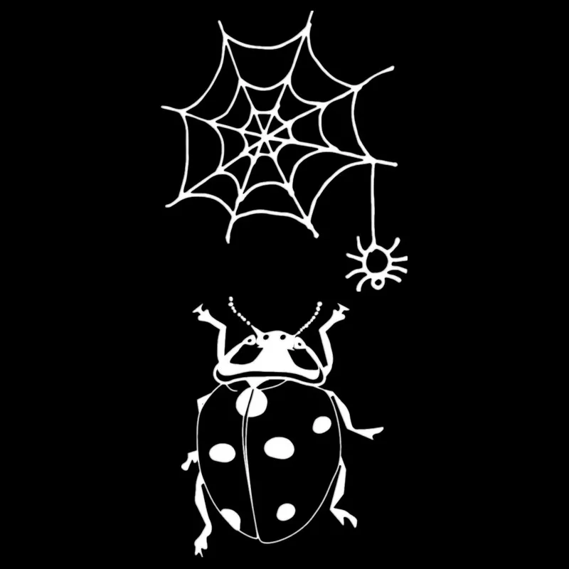 Fashion Animal Iron On Patches For Clothing Fluorescence Insect Spider Web Heat Transfer Sticker DIY Decoration