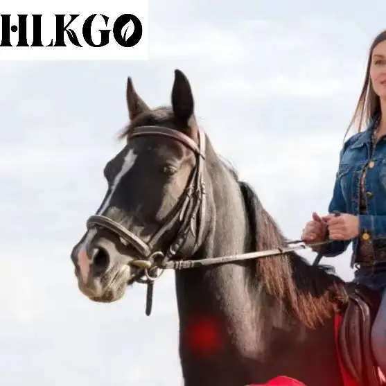 

Лазерный аппарат для обезболивания лошадей 808нм+650нм, двухволновой, для лечения артрита и мышц у лошадей, портативный, перезаряжаемый, класс IV