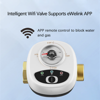 Smart Home Smart Valve DN15 DN20 DN25 Water Gas Shutoff WIFI APP Control Wireless Automated Ball Valve Work With eWeLink