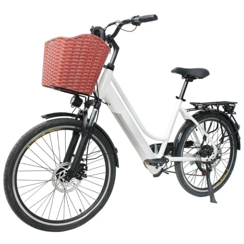 24-Inch electric power bicycle, light and small for women, two-wheeled battery car for adults