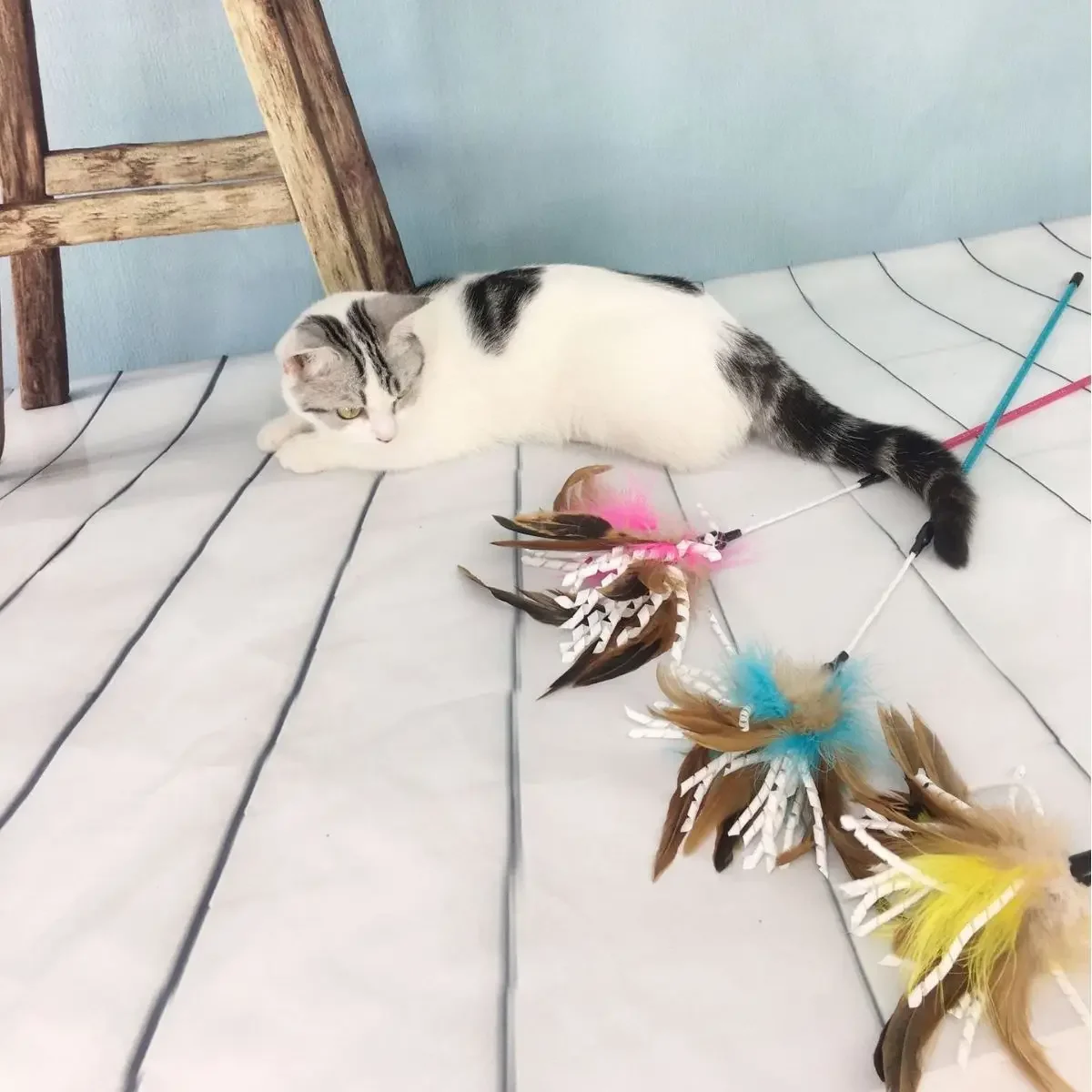 Cat colored feathers ringing paper with bells teasing cat sticks cat gnawing toys