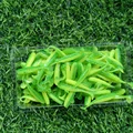 GD15 100PCS 05