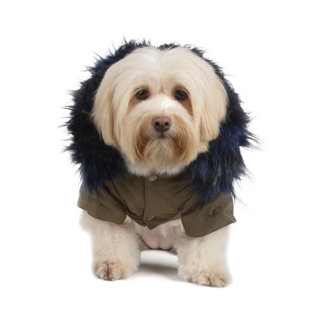 

Puppy Warm Clothes Hooded Dog Winter Costume High Quality Cotton Fabric Keeps Pet Comfy in Cold Weather Stylish Look