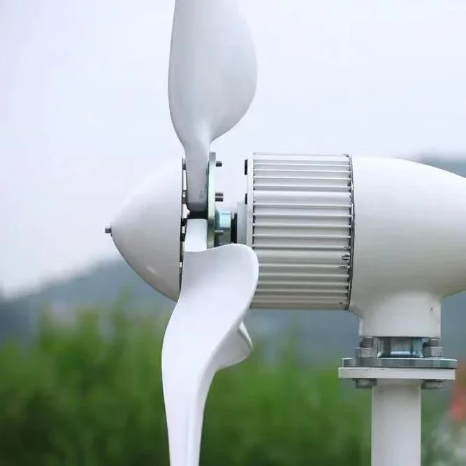 Newly Developed 10KW to 50KW Wind Turbine Generator 48V to 380V AC Magnetic Wind Power Generator for Home Use