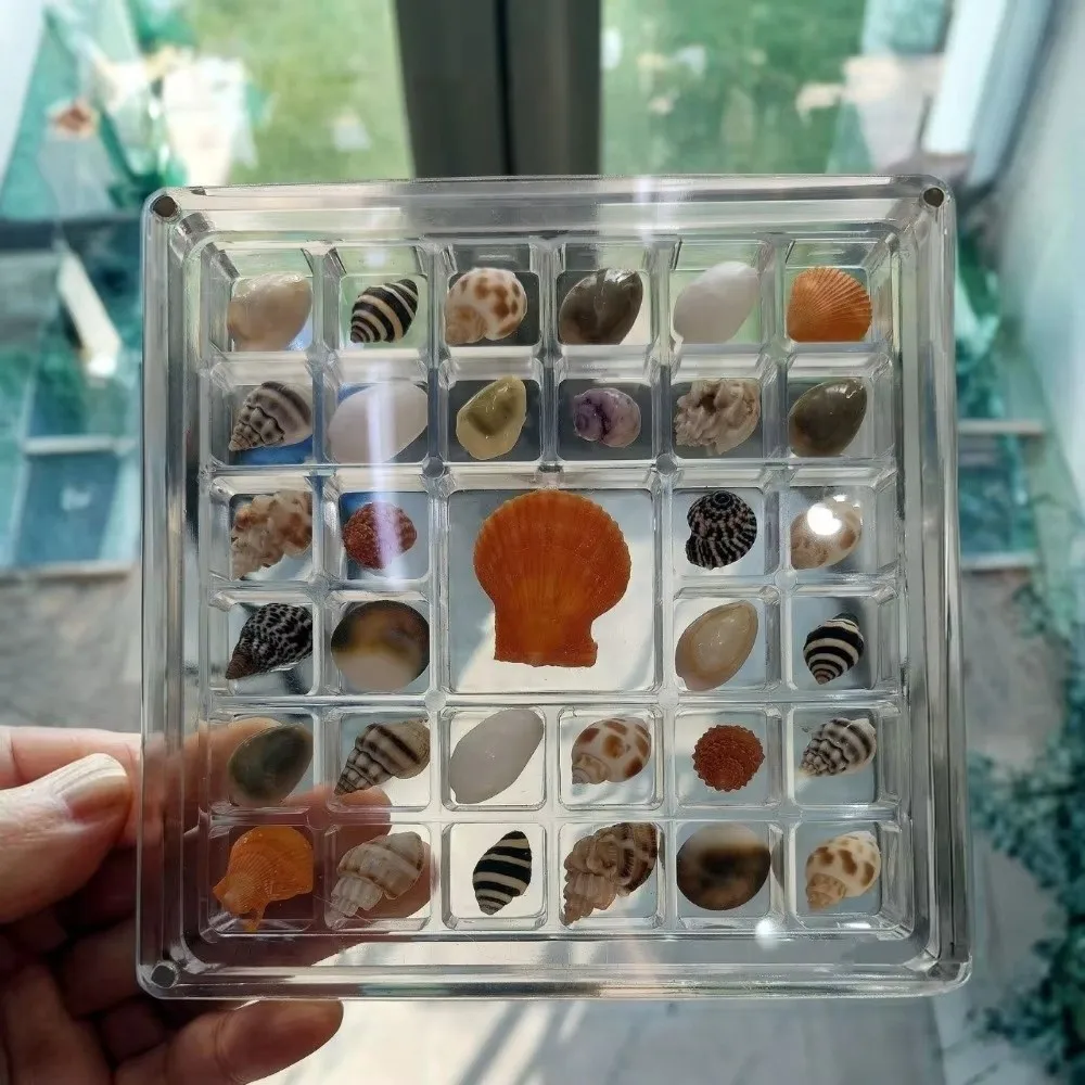 New 36/64/100 Grids Storage Box Transparent Square Shape Organizer Box Acrylic Storage Containers Gold Bean Storage