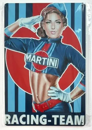 Neuartiges Metallschild des Martini Racing Teams; Wandkunst