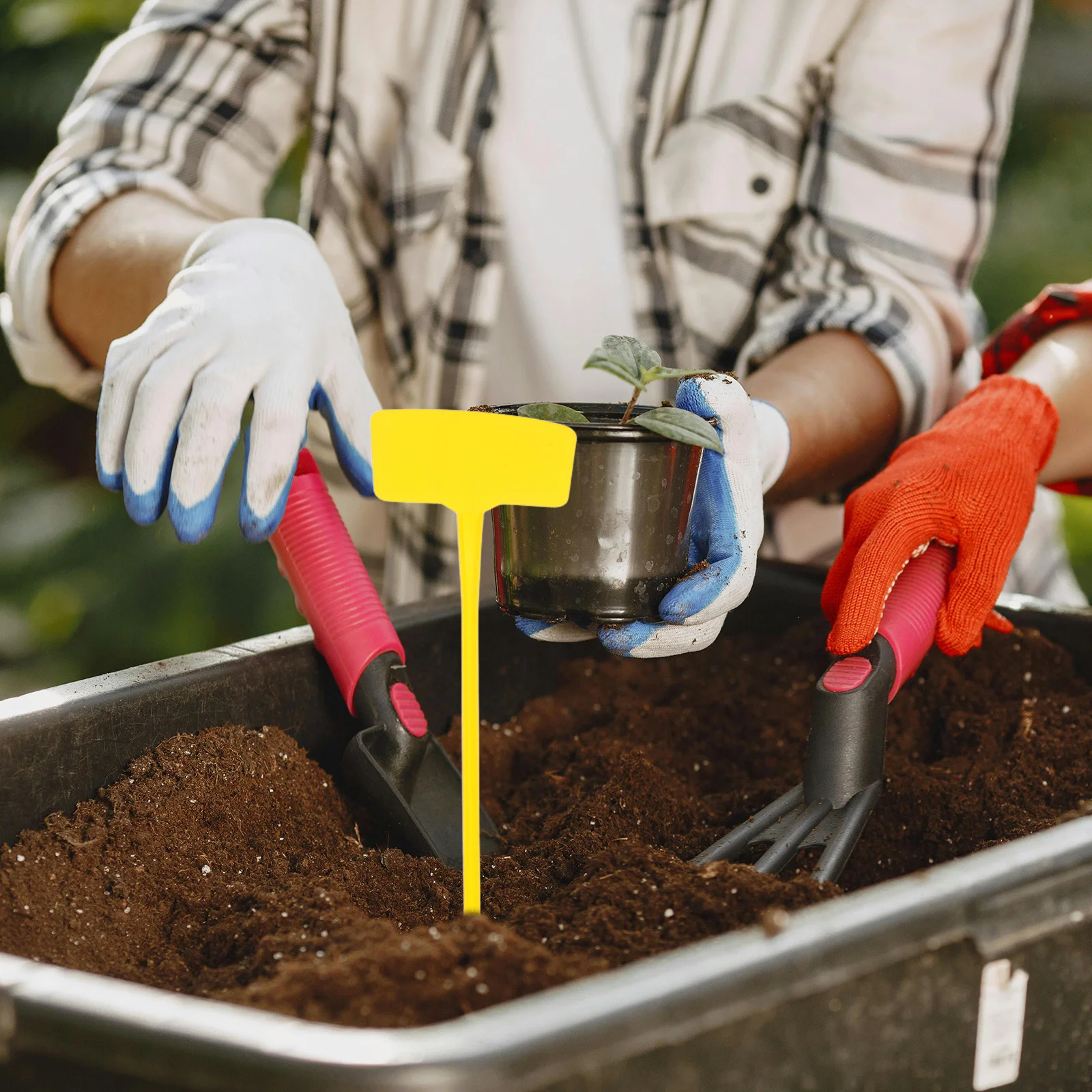 

10 шт. садовые этикетки, универсальные посадочные этикетки с для организации знаков на открытом воздухе в саду и дворе