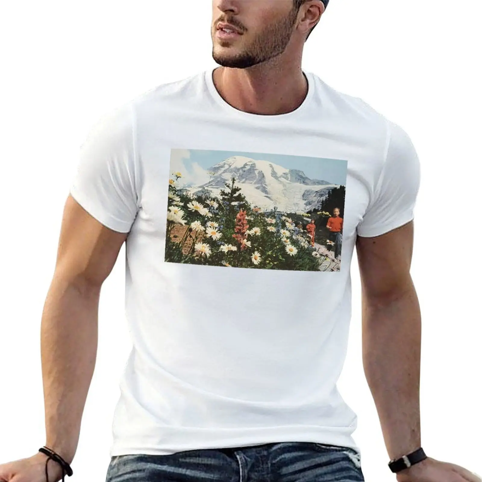 their satanic majesties second request T-Shirt Blouse essential t shirt Men's cotton t-shirt