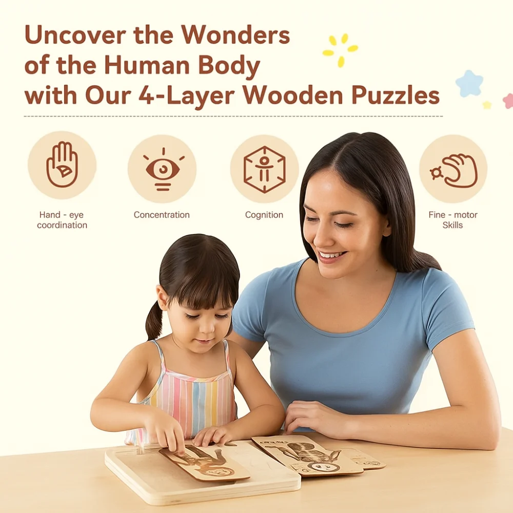 

Jigsaw Design Montessori Jigsaw Puzzle Organ Model Human Structure Anatomy Organ Puzzle Learning Educational Human Structure