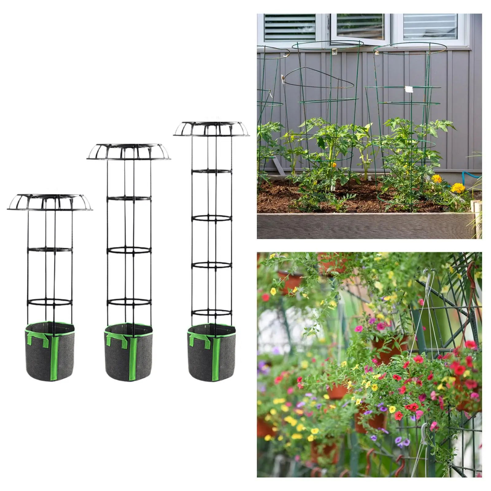 Gabbia per pomodori multiuso a traliccio da giardino per piante rampicanti fiori di viti