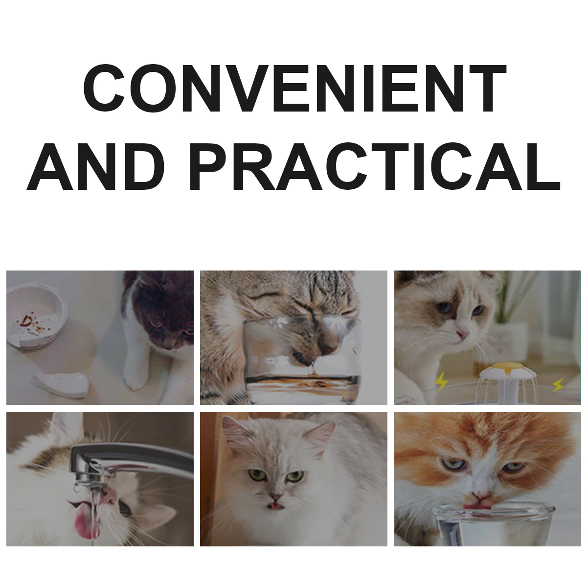 

1Pcs Cat Bowl with Unique Anti-Slip Design Thicken Safe Pet Feeder for Food Or Water Smooth Easy Clean Biting Resistance Bowl