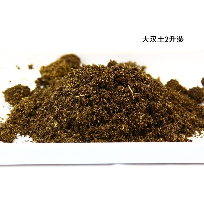 Bata Tanah Kelapa Substrat Rep - Sphagnum Moss Dry ulasan dan harga