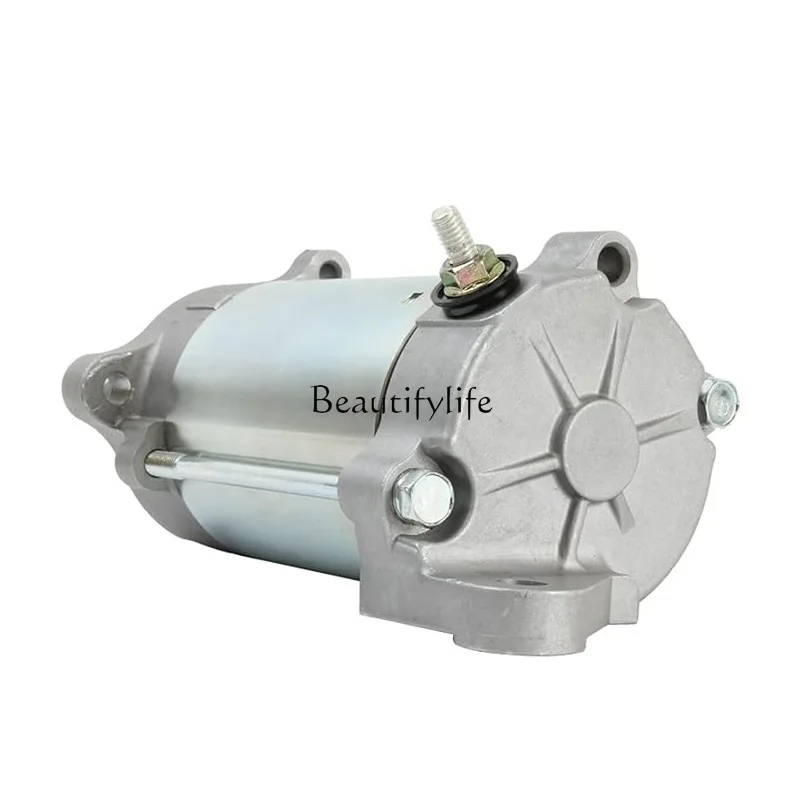 

Accessories 515-176-754, 515-176-784 snowmobile starter motor