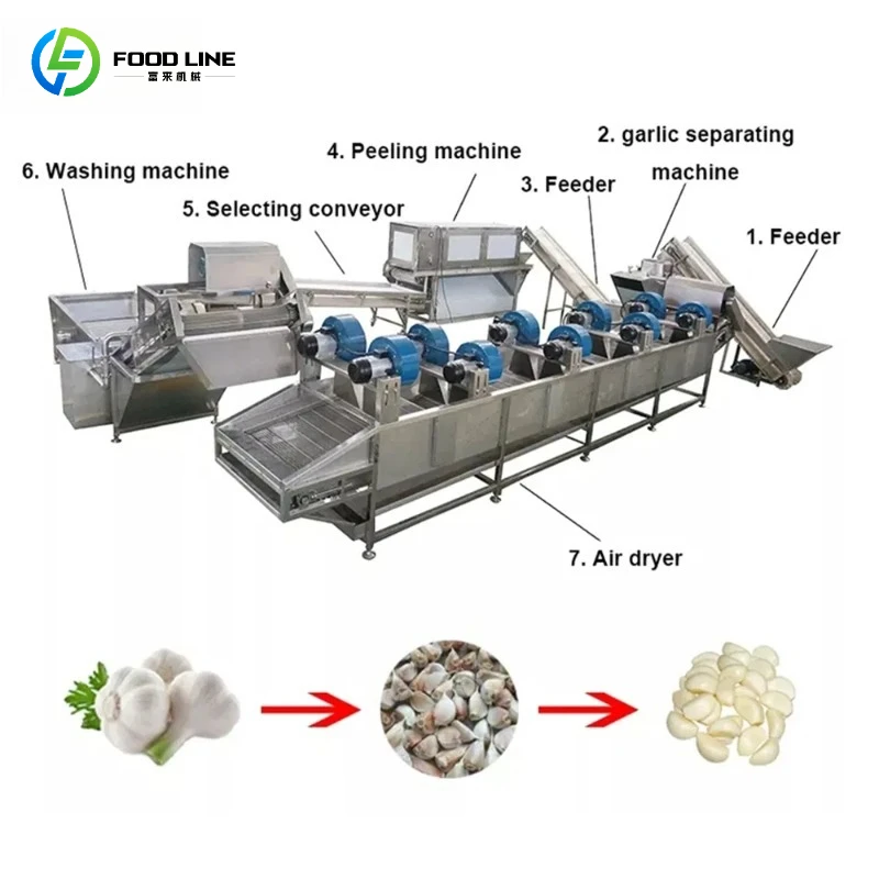 Customized Automatic Energy Saving Garlic Splitting and Peeling Production Line