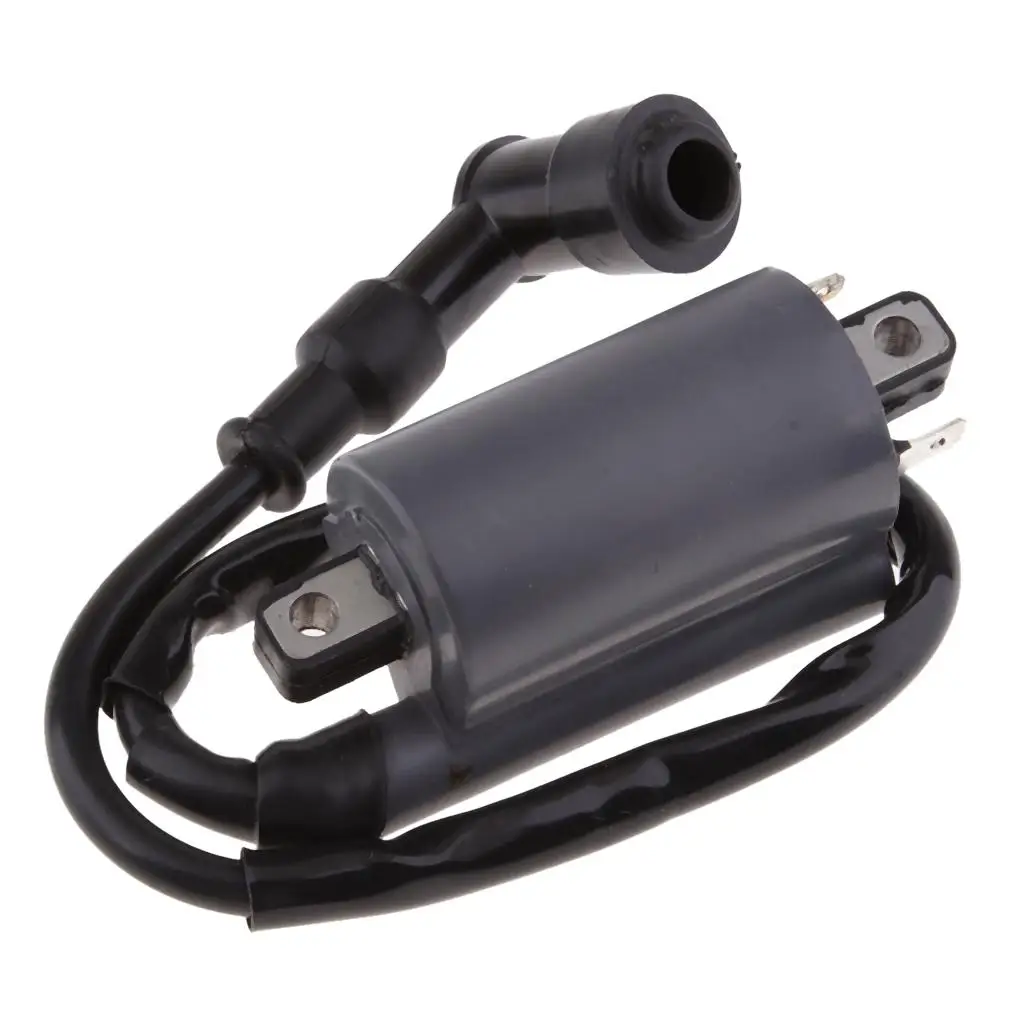 

High Performance Ignition Coil for Buyang 300CC D300 ATV Quad Black