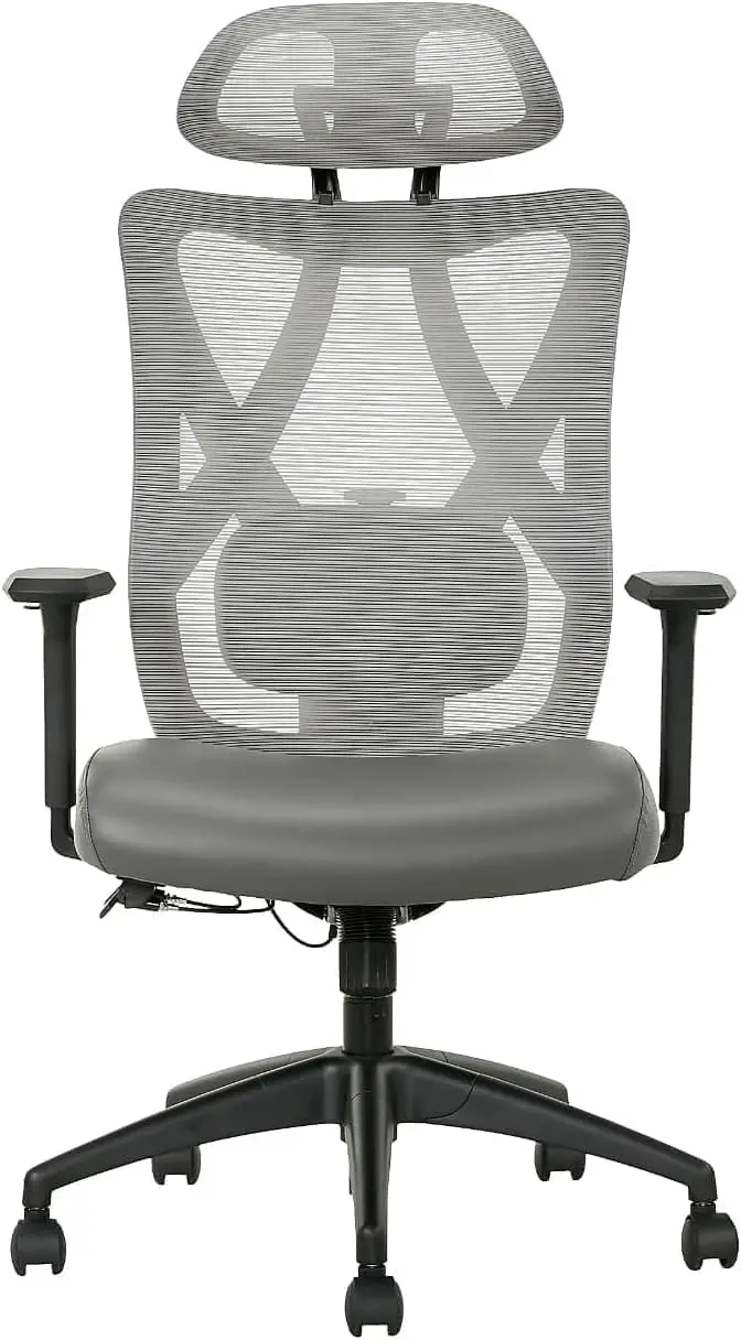 

Ridgefield Ergonomic Mesh High-Back Task Chair, Vegan Leather Option