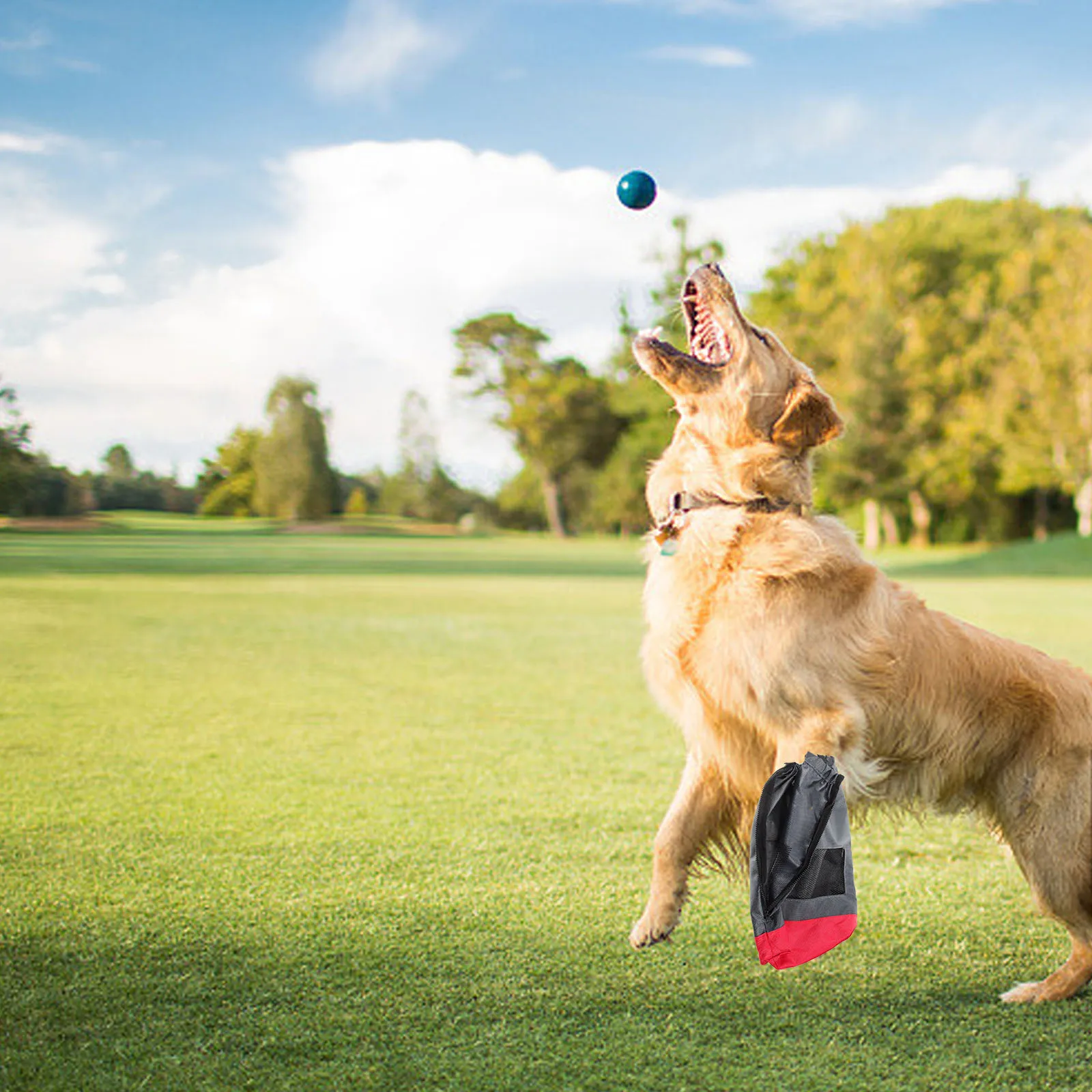 

Oxford Cloth Pet Protective Bag Breathable Anti-Wear Carrier Dog Drag Pouch Side Zips Elastic Cuff Safety Lock Mesh