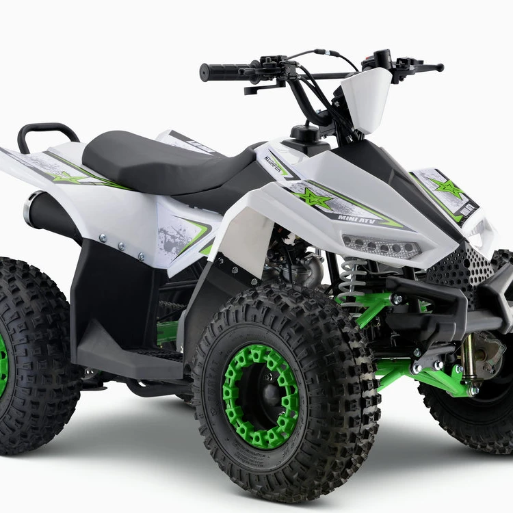 Wanyang 110cc Off-Road ATV Quad Electric 4-Stroke Engine Power For Kids Automatic Chain Drive