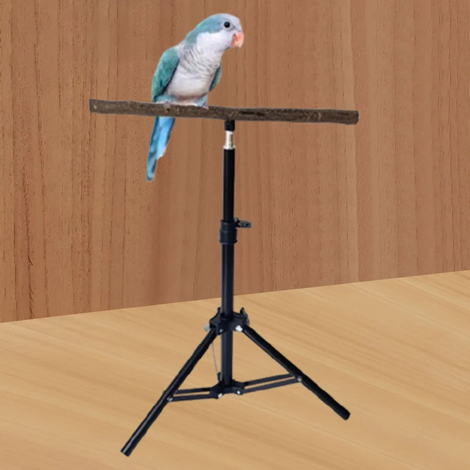 Soporte madera con trípode para periquitos, agapornis y conures - imagen 5