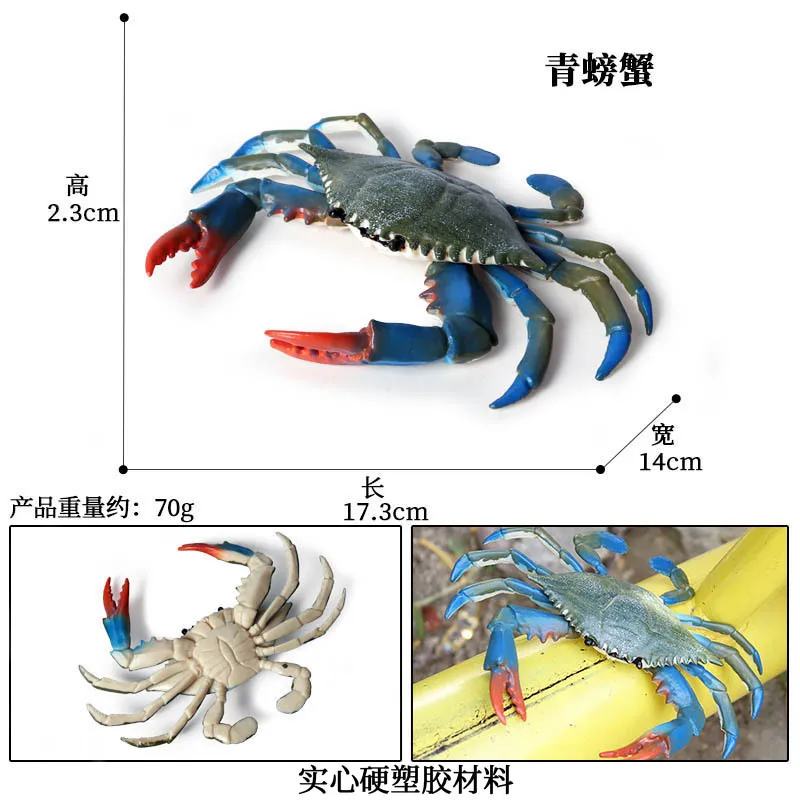 42 Types d'animaux de l'océan, Simulation de crabe ermite Nautiloidea, poulpe, modèle de vie marine, Figurines d'action, Collection, jouet cadeau
