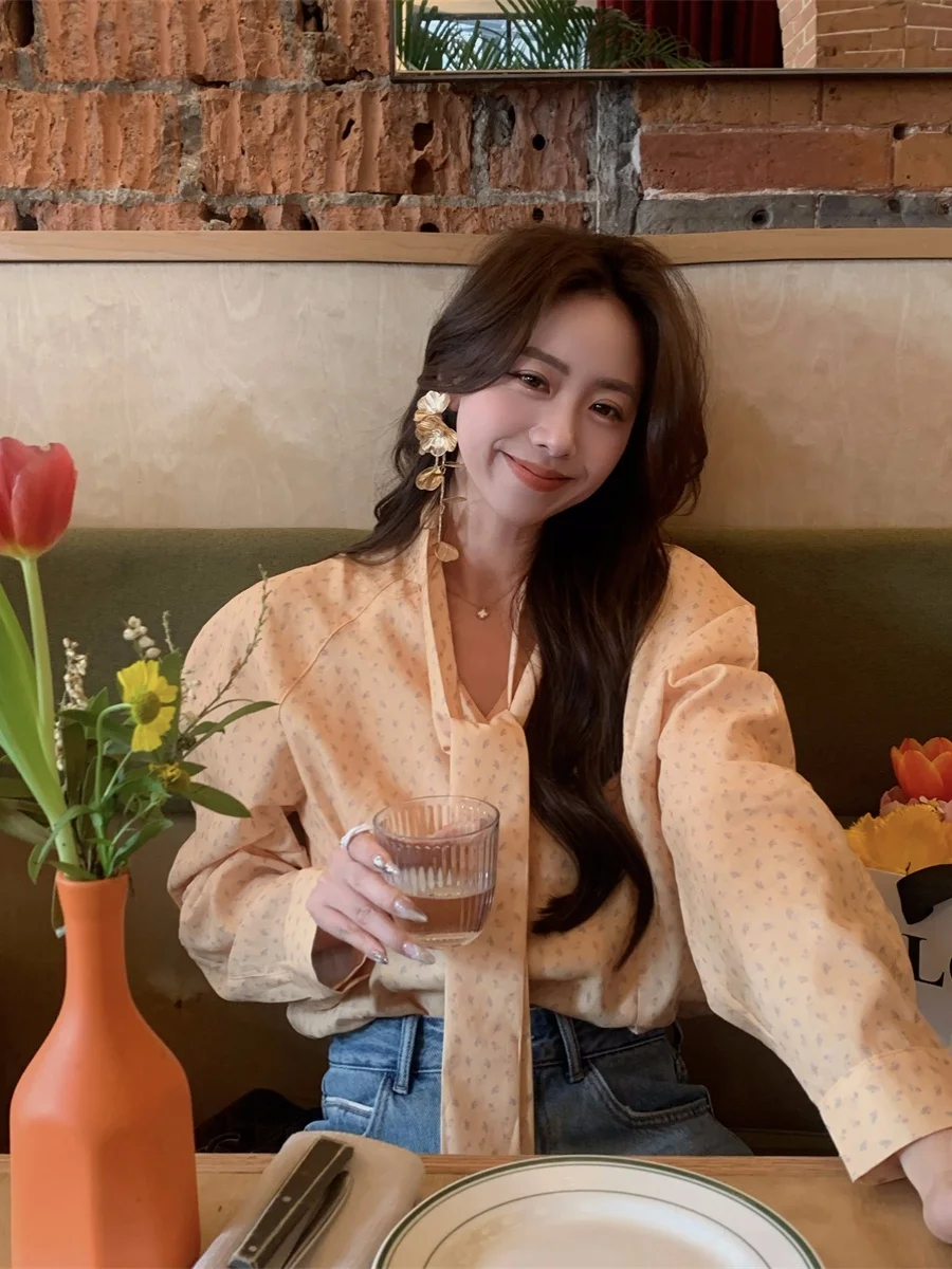 

Футболка Spring Breeze Floral Or Moonlight с длинными рукавами и V-образным вырезом, свободного кроя, из дышащего полиэстера, во двух цветах, в французском стиле.