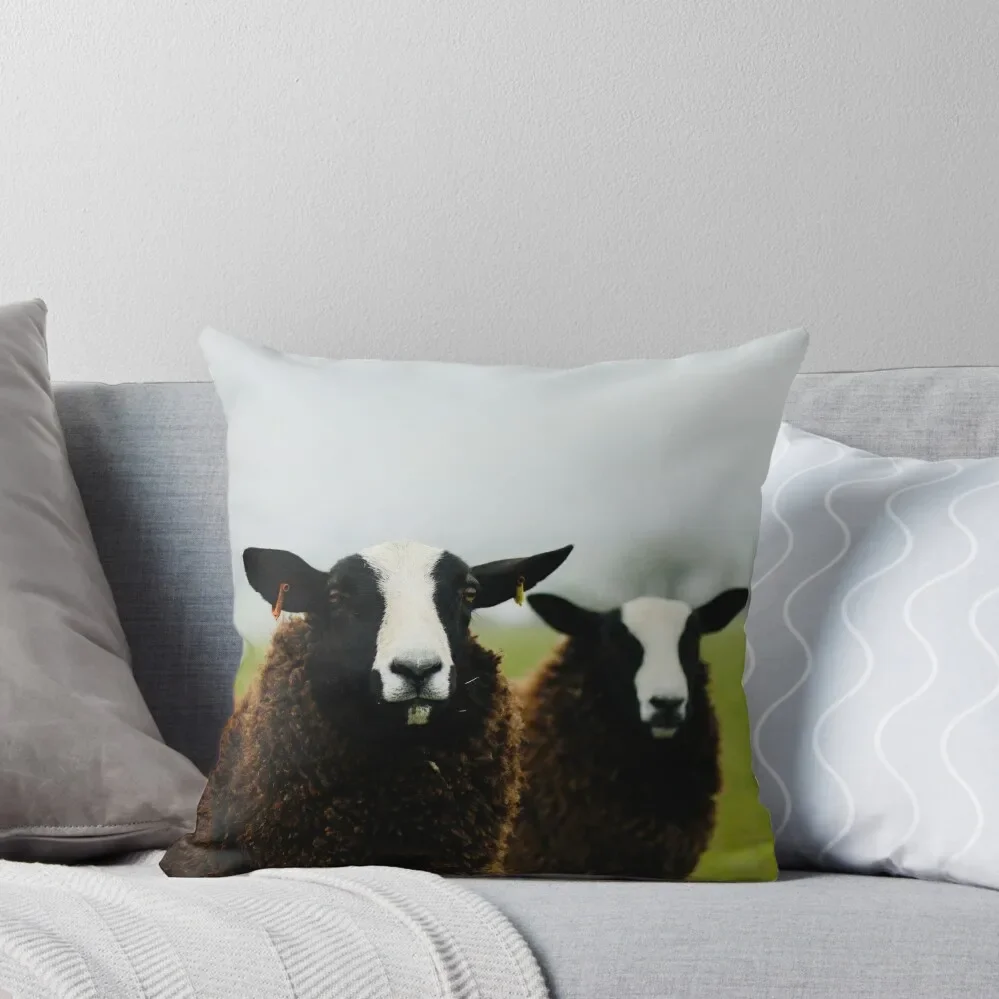 Jim and Sunny the Zwartbles Rams Throw Pillow Cushion Cover Luxury ornamental pillows for living room pillow