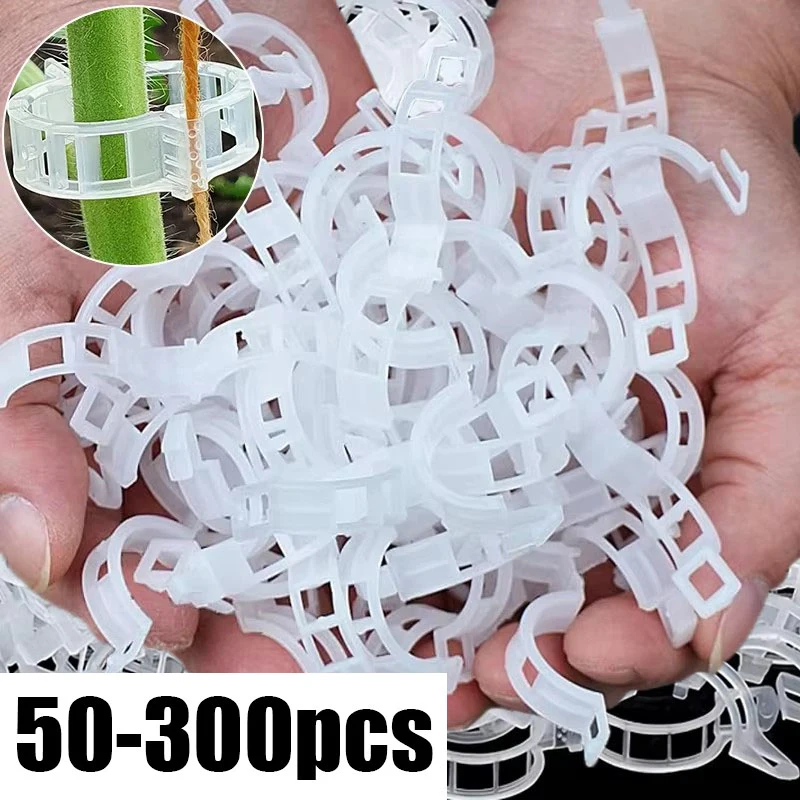 50-300PCS Plant Support Clips Reusable Plastic Connects Vine Fixing Clip Tomato Grape Vegetable Plants Holder Buckle Garden Tool