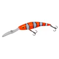 Zebra Orange