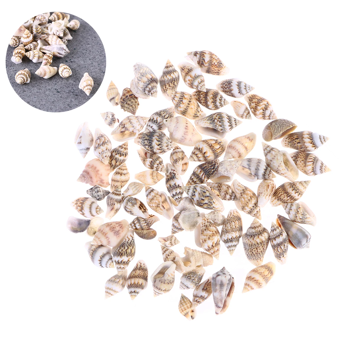 

50 Pcs Set Natural Beach Shells Crafts Decoration Fish Seashell For Decoration Tank Room Vivid Arts Gifts