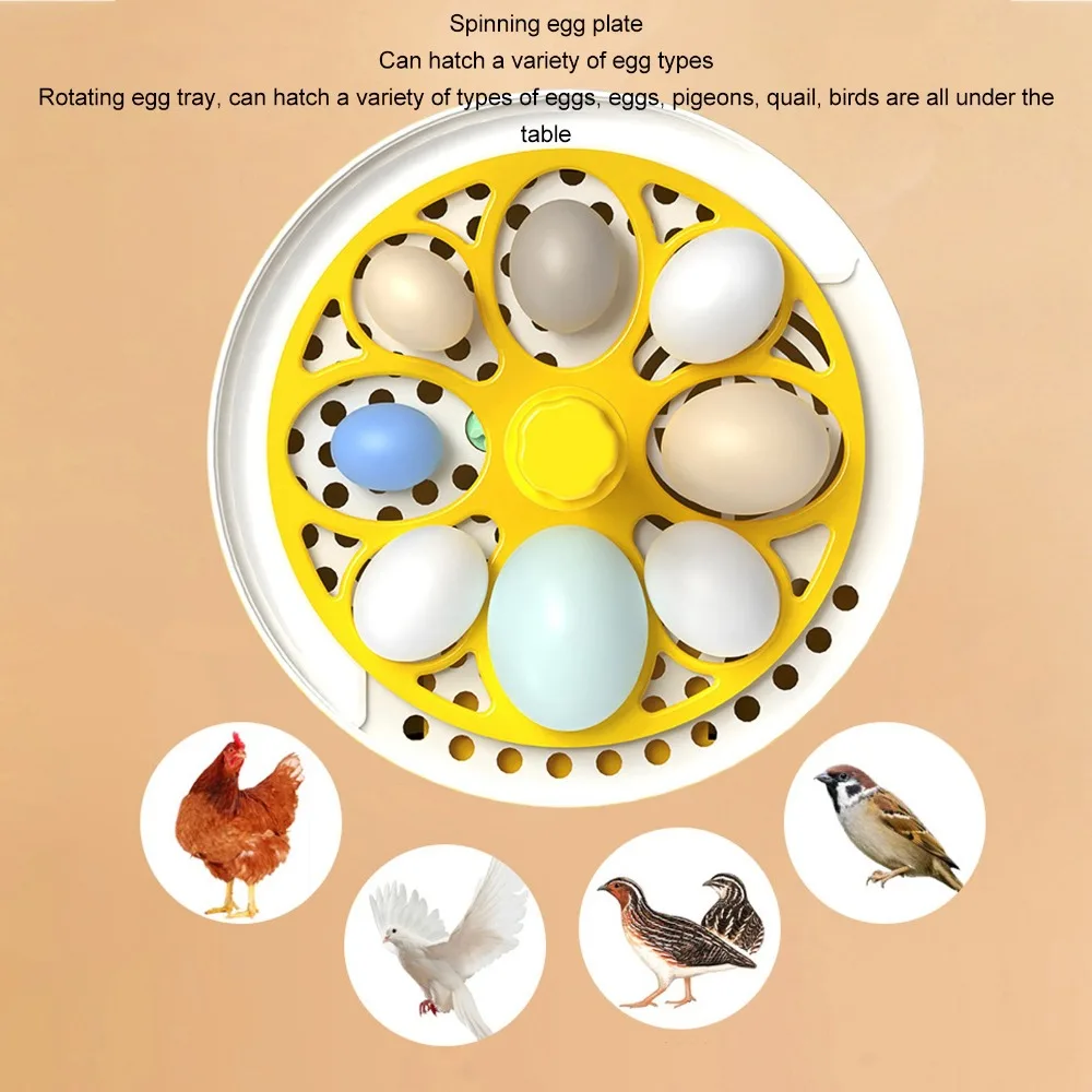 1 set ABS Mini Egg Incubator Automatic Temperature Control Auto Turning Automatic Egg Incubator Transparent Lid Compact Design