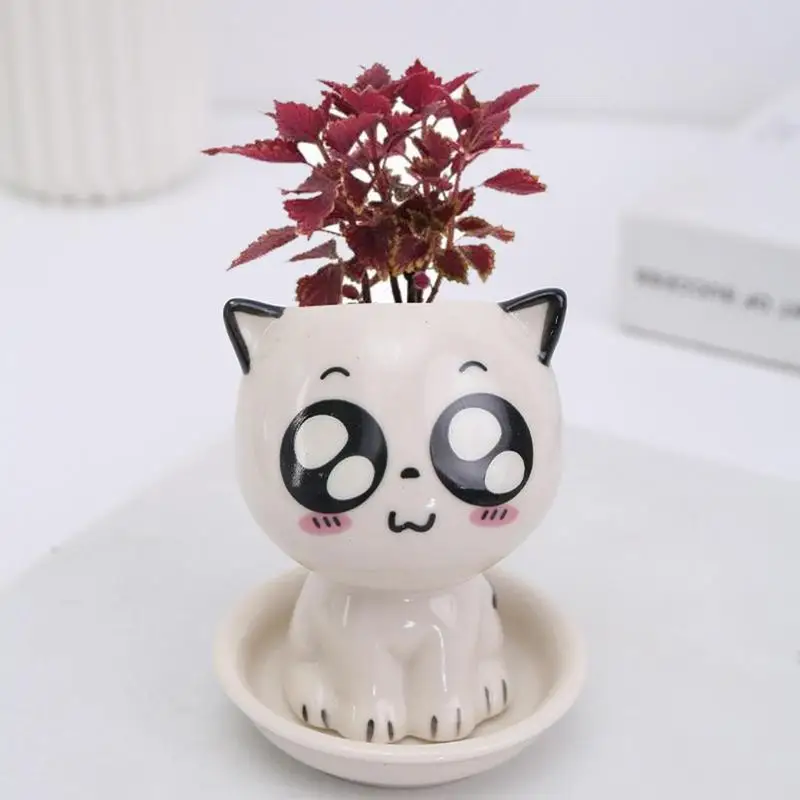 Maceta de cerámica con forma de gato para plantas suculentas, jarrón para plantas de interior, macetas de viñetas de animales, decoración del hogar,