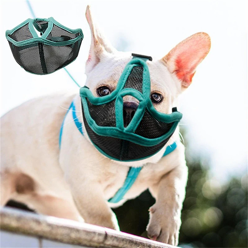 Multiple Fashionable Short Mouthed Dog Covers Outdoor Dogs Walk Anti Barking Anti Biting Mouth Cover Raising Pets Essential