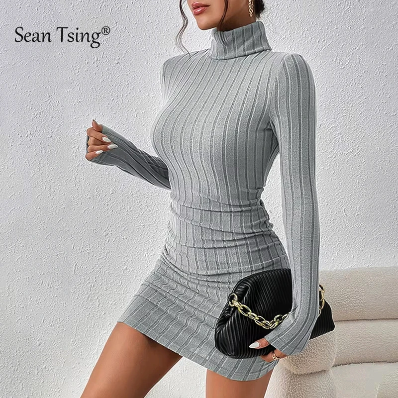 

Women's Solid Color High Neck Knitted Mini Dress Long Sleeved Sexy Style for Party Bar Nightclub Gray & Black Simple Basic style