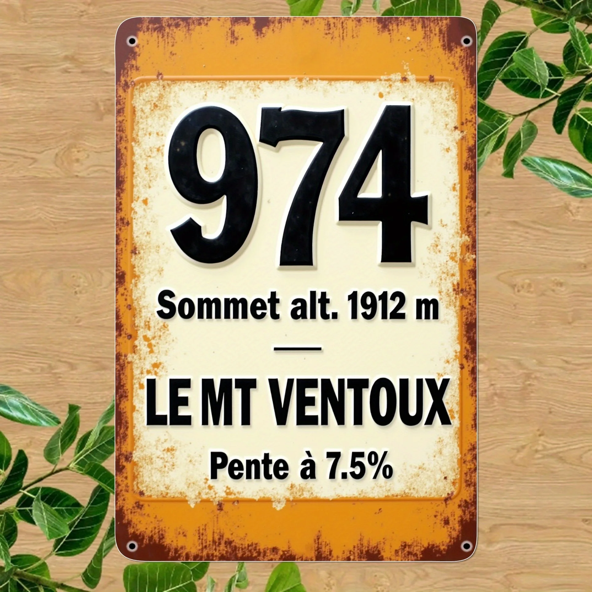 Vintage French 