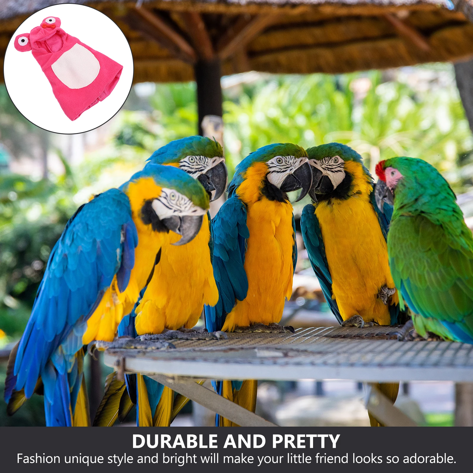 

Parrot Accessories Warm Clothes Hoodie Pet Bird Clothing Outdoor Small Cotton Newborn