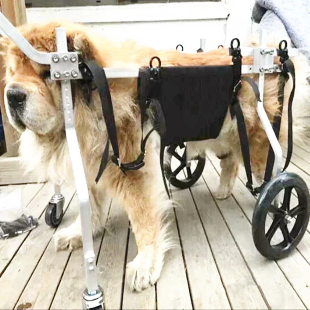 Medium And Large Dog Wheelchair Dog Limb Weakness Auxiliary Brace Spinal Support Pet Paralysis Power Walking Wheelchair